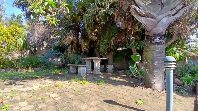 image019