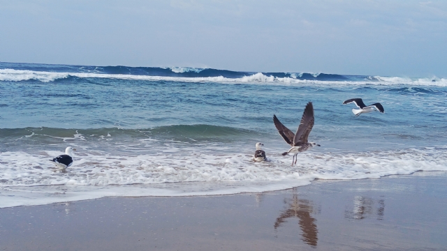 image018